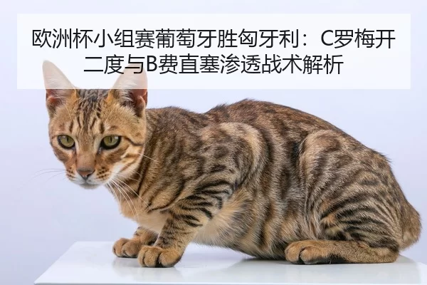 欧洲杯小组赛葡萄牙胜匈牙利：C罗梅开二度与B费直塞渗透战术解析