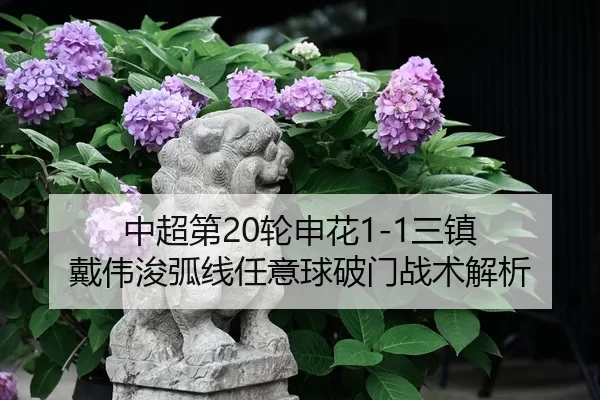 中超第20轮申花1-1三镇 戴伟浚弧线任意球破门战术解析