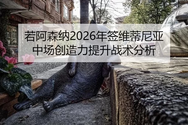 ruo-a-sen-na-nian-qian-wei-di-ni-ya-zhong-chang-chuang-zao-li-ti-sheng-zhan-shu-fen-xi-3-797.jpg