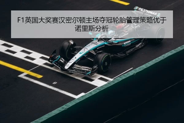 ying-guo-da-jiang-sai-han-mi-er-dun-zhu-chang-duo-guan-lun-tai-guan-li-ce-lve-you-yu-nuo-li-si-fen-xi-2-472.jpg