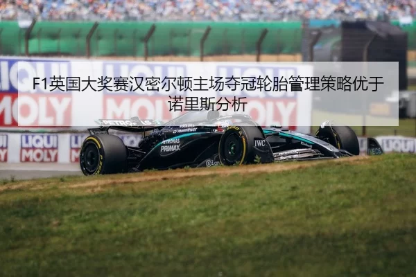 ying-guo-da-jiang-sai-han-mi-er-dun-zhu-chang-duo-guan-lun-tai-guan-li-ce-lve-you-yu-nuo-li-si-fen-xi-3-873.jpg